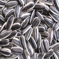 High Quality new crop Sunflower Seeds5009